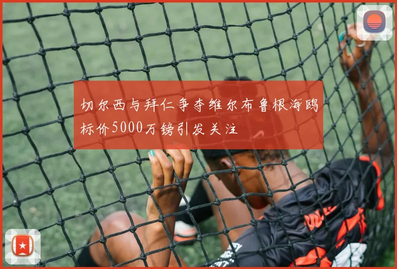 切尔西与拜仁争夺维尔布鲁根海鸥标价5000万镑引发关注