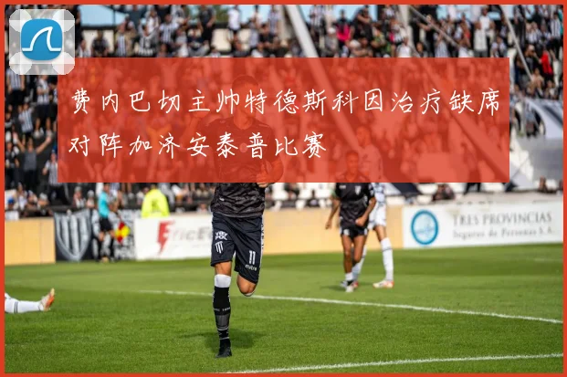 费内巴切主帅特德斯科因治疗缺席对阵加济安泰普比赛