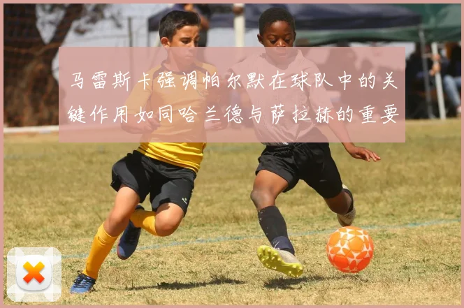 马雷斯卡强调帕尔默在球队中的关键作用如同哈兰德与萨拉赫的重要性