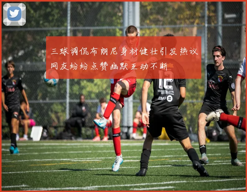 三球调侃布朗尼身材健壮引发热议网友纷纷点赞幽默互动不断