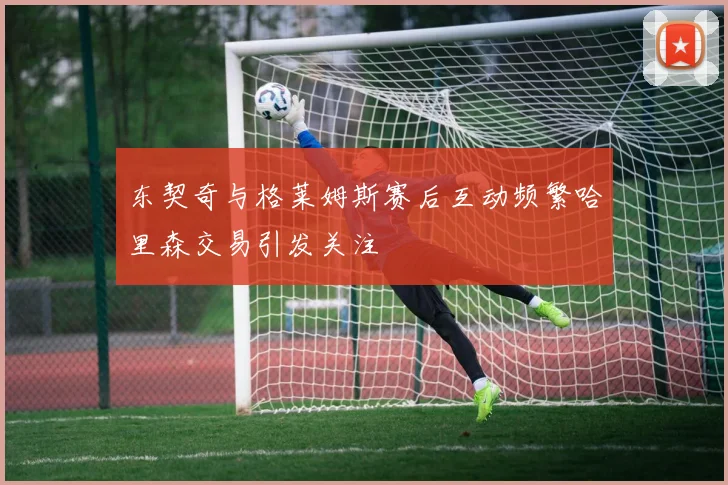东契奇与格莱姆斯赛后互动频繁哈里森交易引发关注