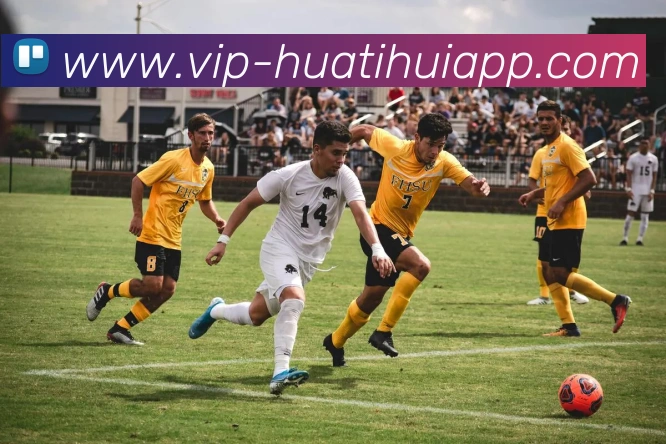 失败与挫折的真正意义阿韦洛亚分享不设限的人生观与经历